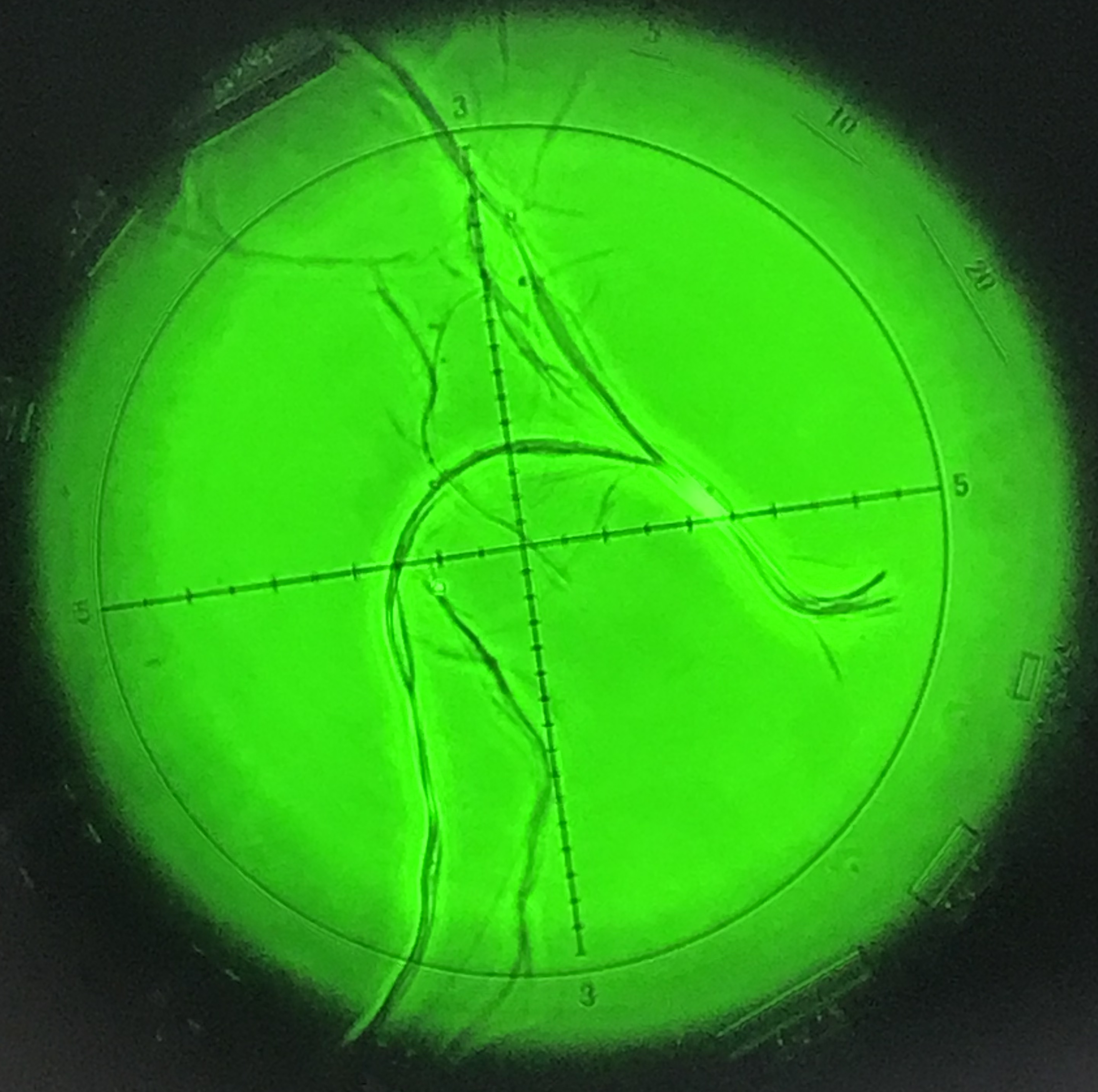 Analyst Chysotile Fibres