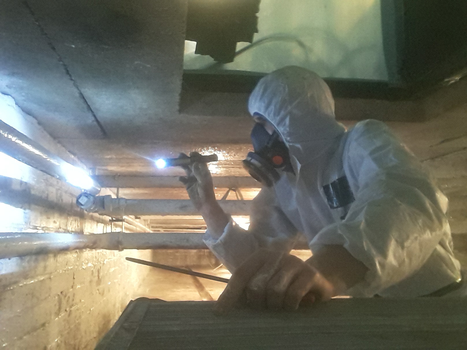 Asbestos Inspection